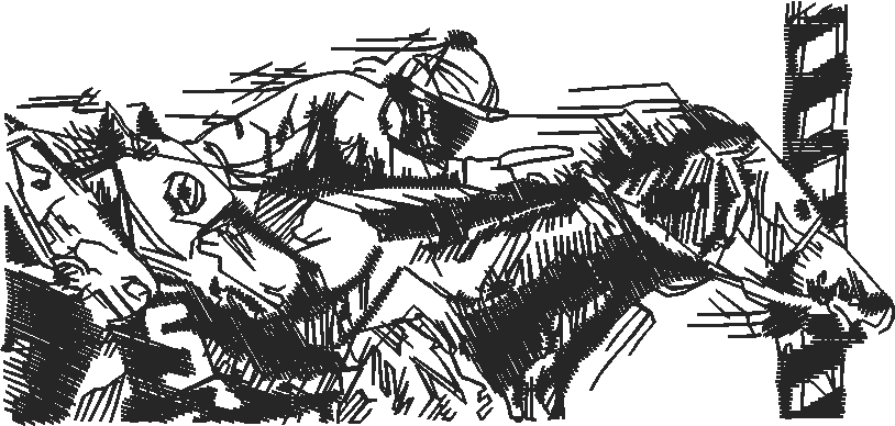 Horses 2  (51)