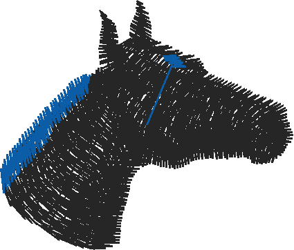 Horses 2  (57)