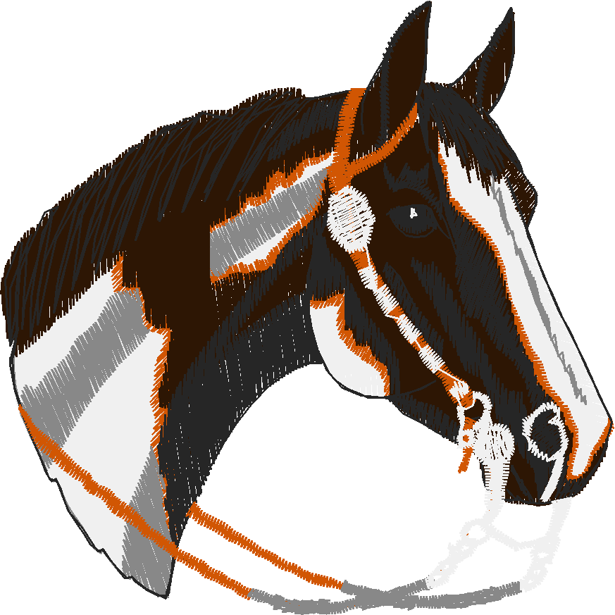 Horses 3  (11)