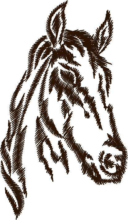 Horses 7  (15)