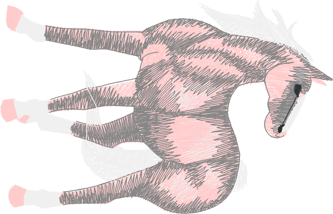 Horses 8  (8)