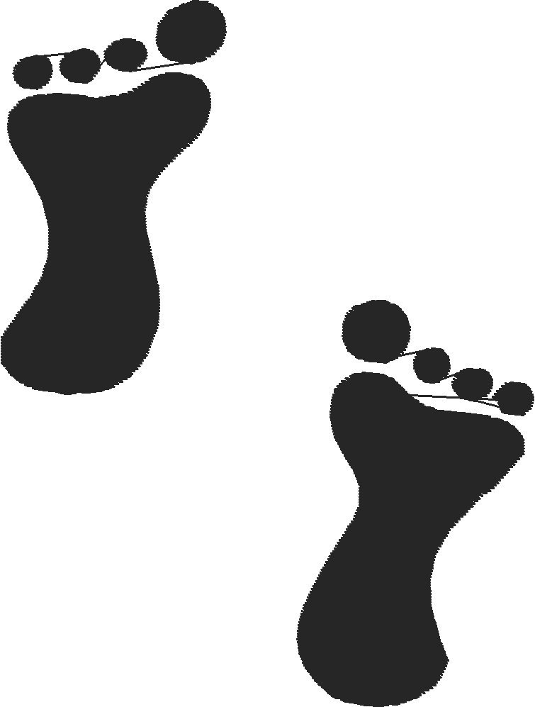 Flatfootleftright