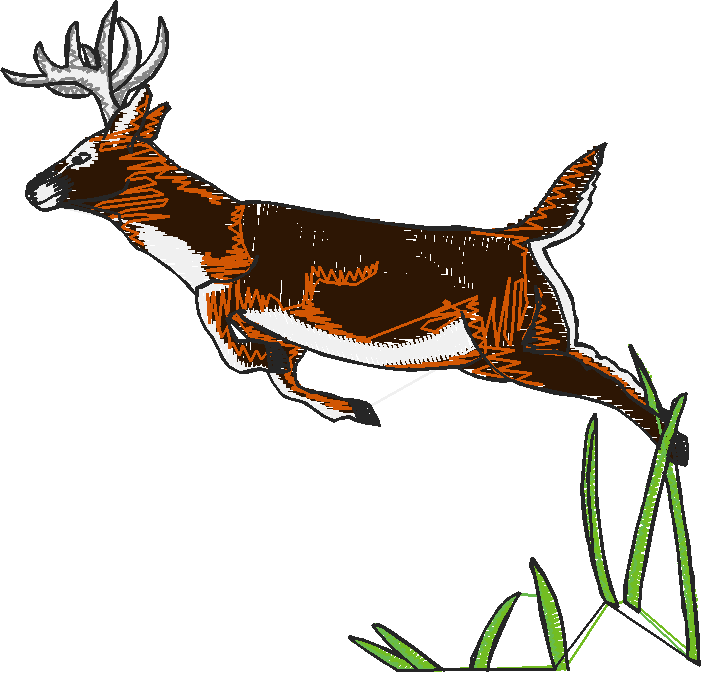 Hunting 1  (13)
