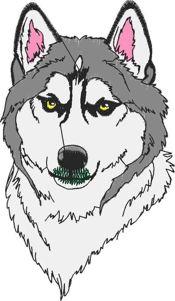 Huskies 1 (2)