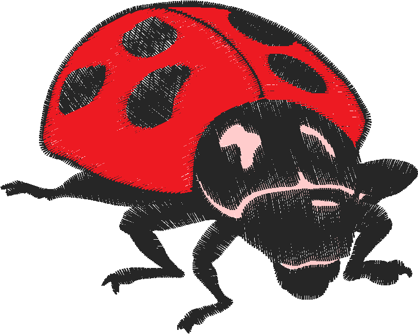 Insects 1  (9)