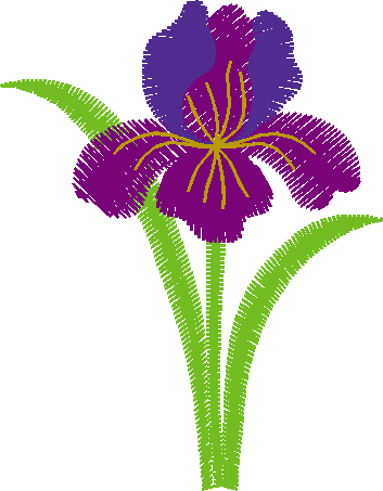 Iris 1  (14)