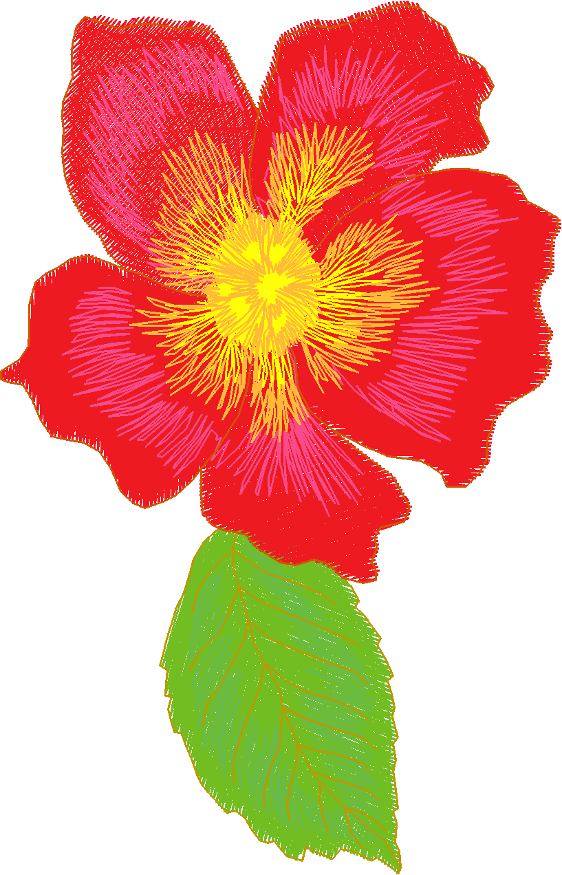Jumbo    Flowers 2  (6)