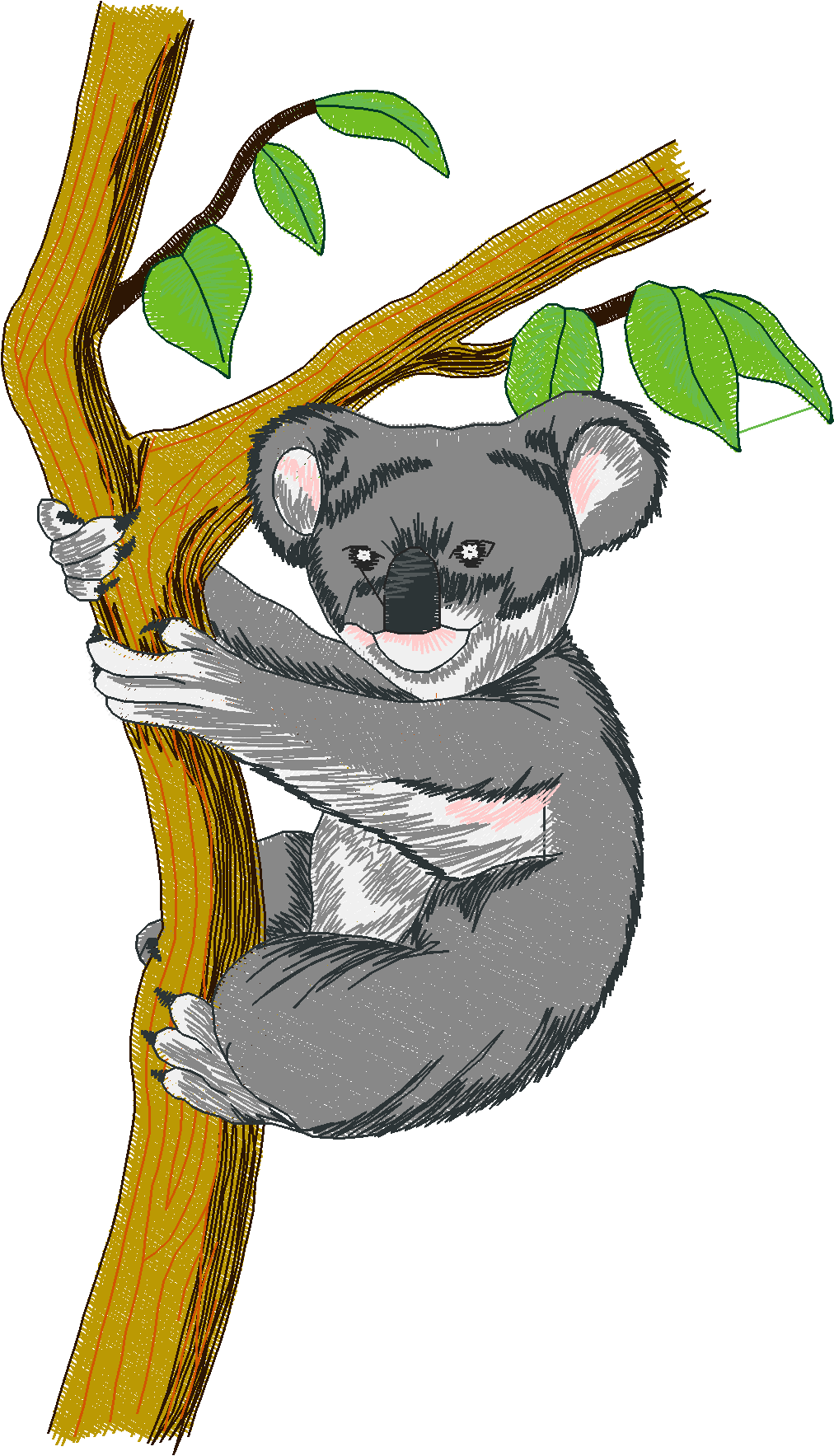 Jumbo   Pandas & Koalas 1  (1)