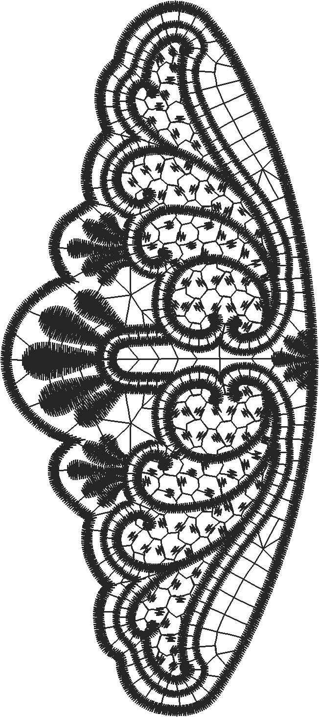Lace 41  (22)