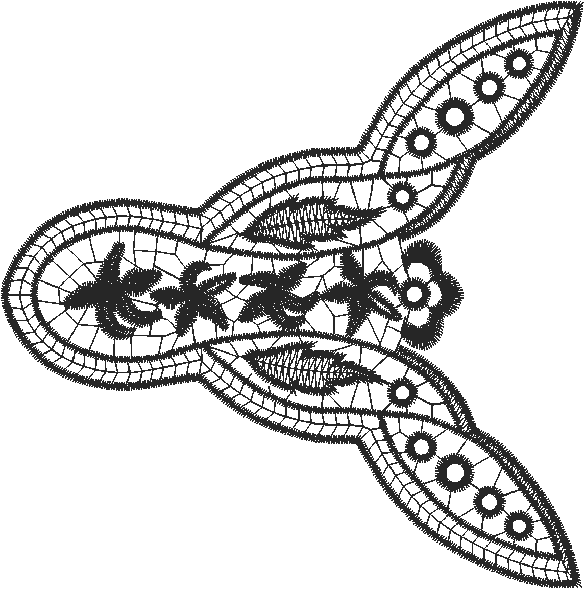 Lace 41  (27)