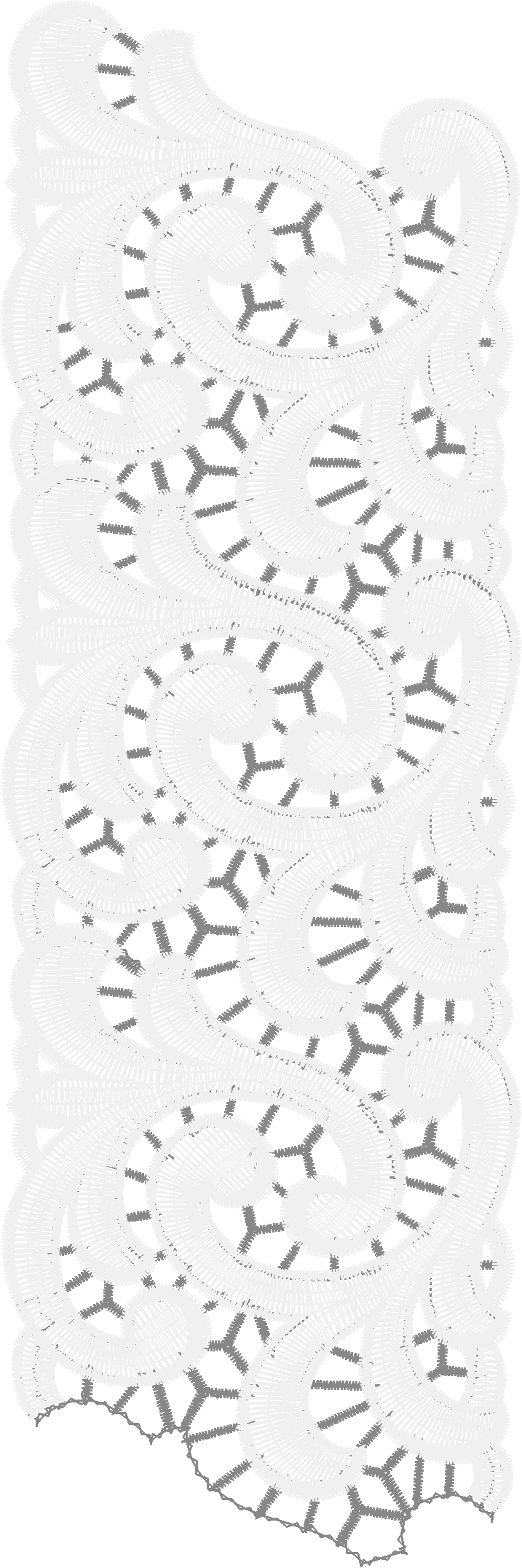 Lace 49  (21)