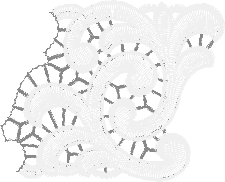 Lace 49  (23)