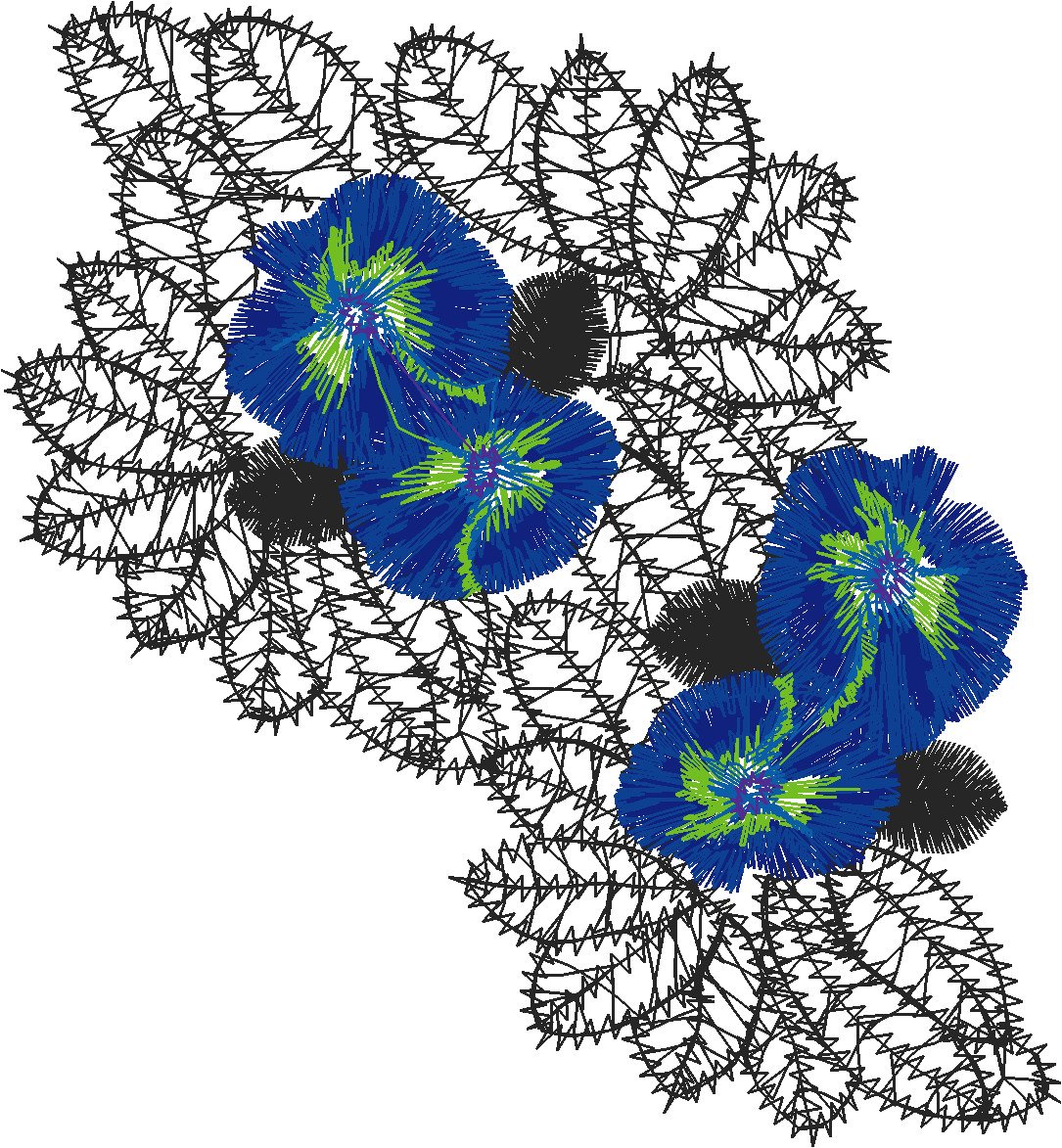 Lace 53  (17)