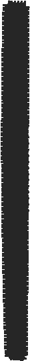 Tiarab11