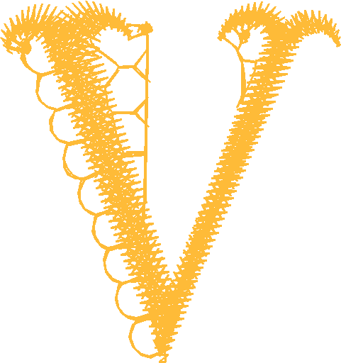 V