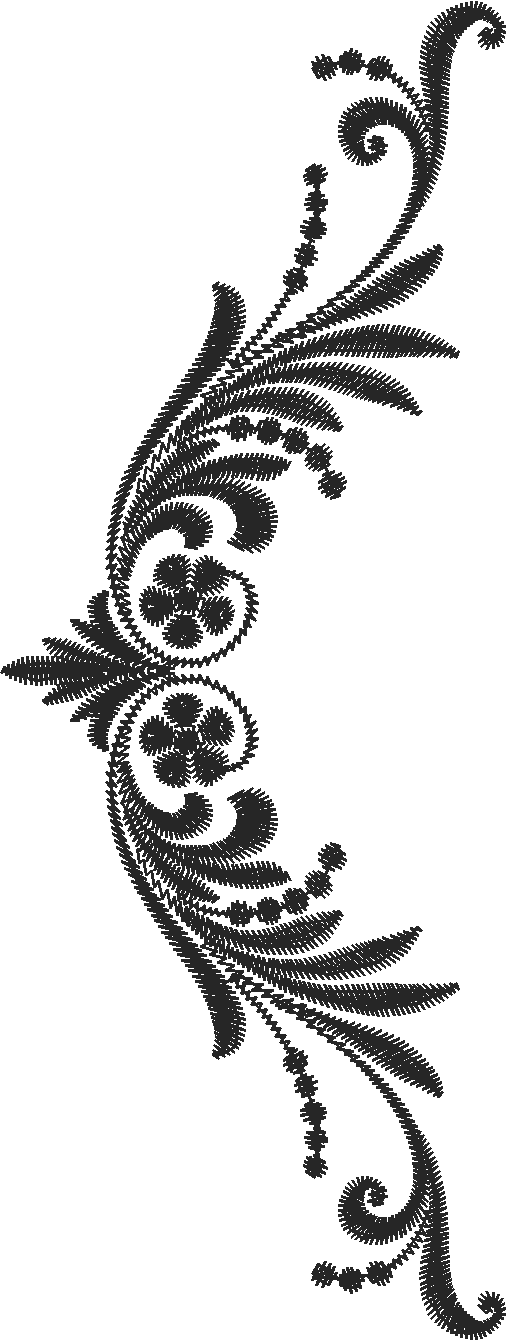 Layfaette 1  (16)