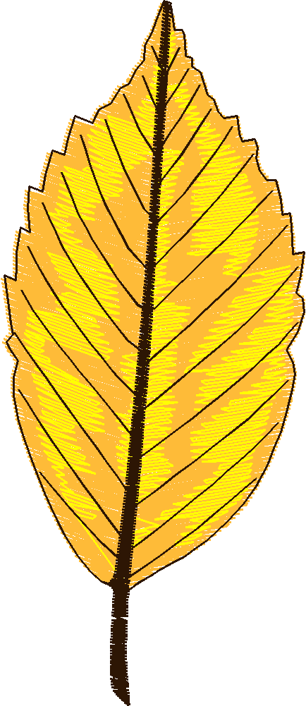 Leaves 2 (10)