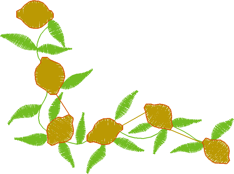 Lemons 1  (16)