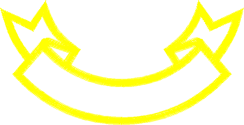 010810