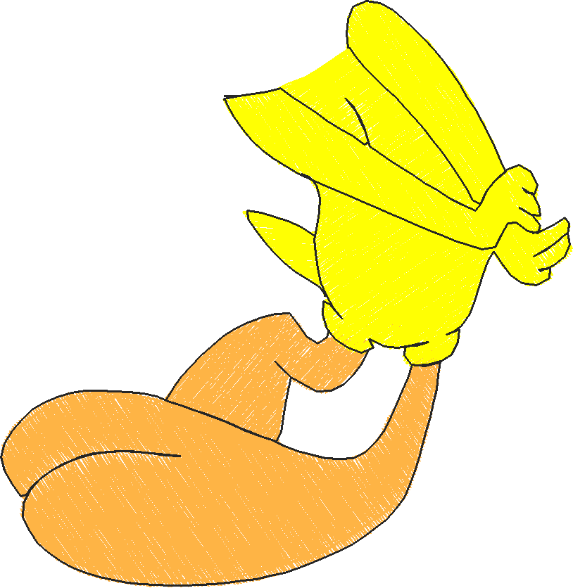 Tweetyp3