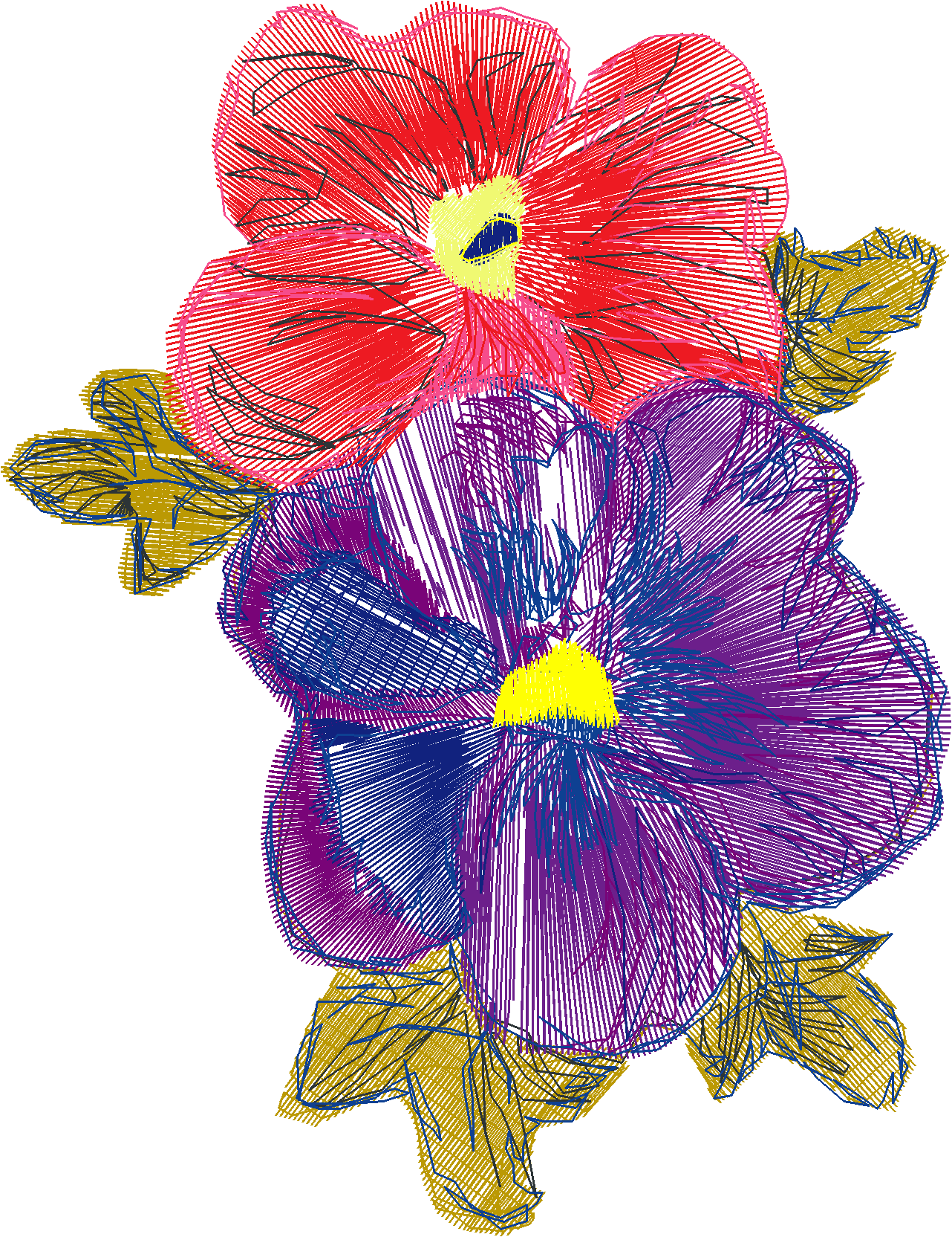 Pansies 1 (3)