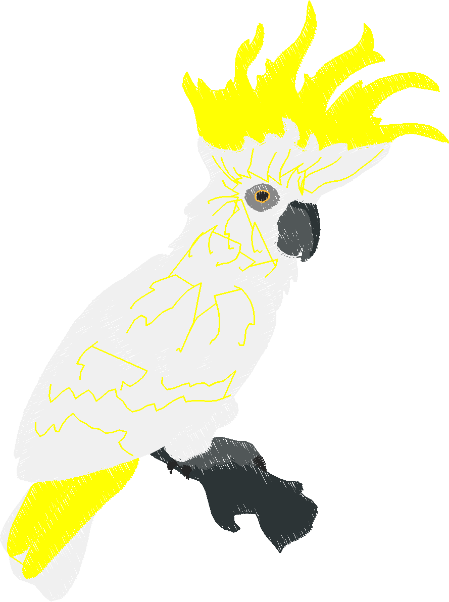 Parrots 1  (16)