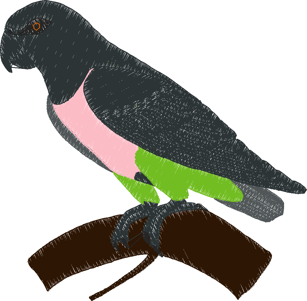 Parrots 1  (18)
