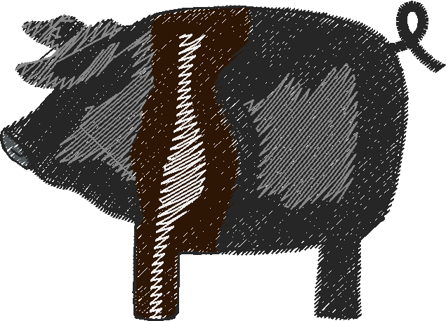 Piglets 1  (7)