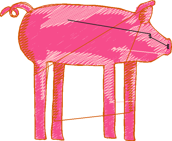 Pigs 1  (16)