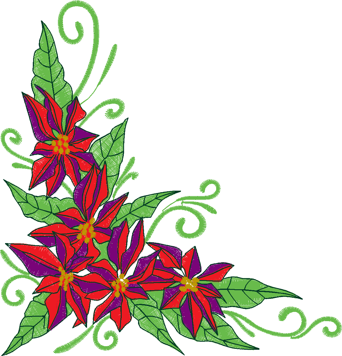 Poinsetta  (6)