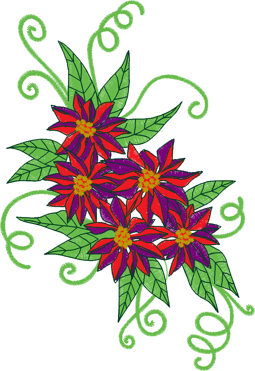 Poinsetta  (9)