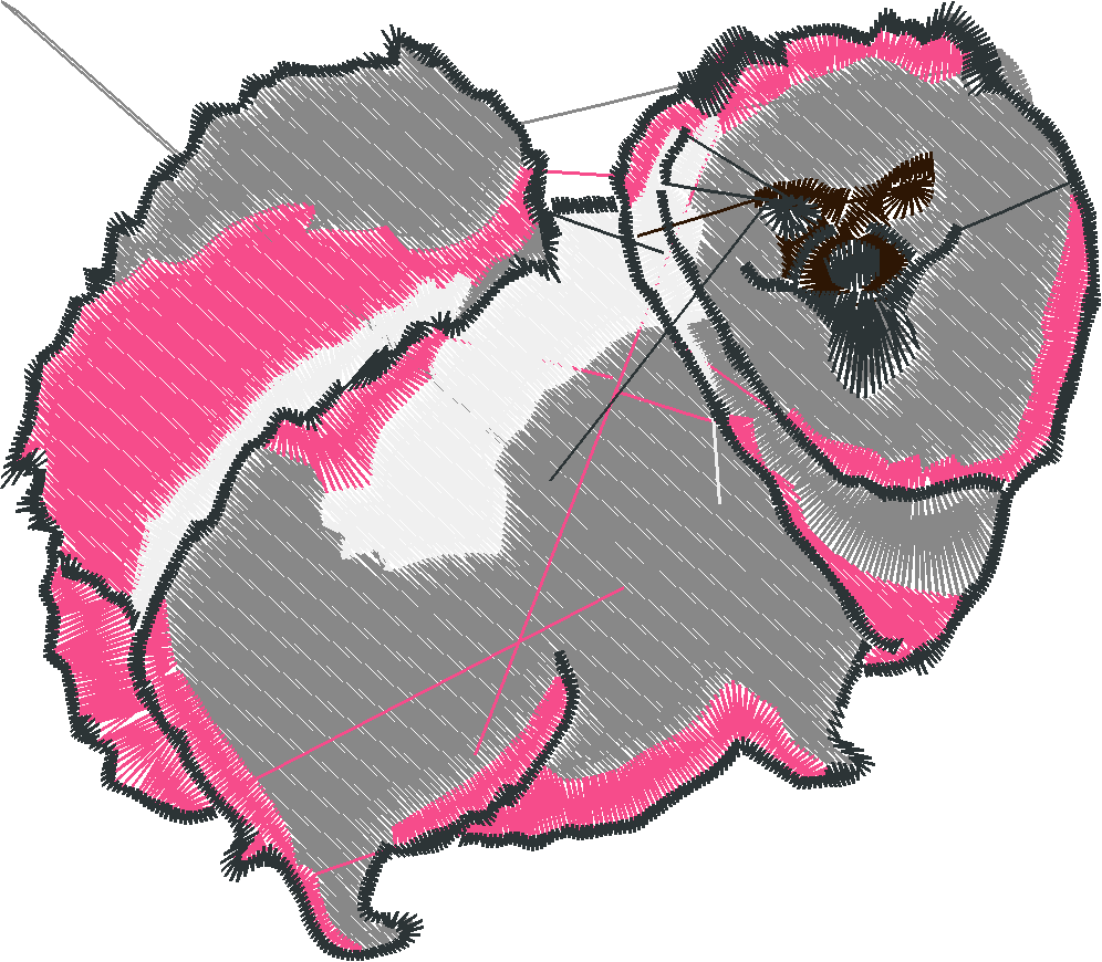 Pomeranians 1  (4)