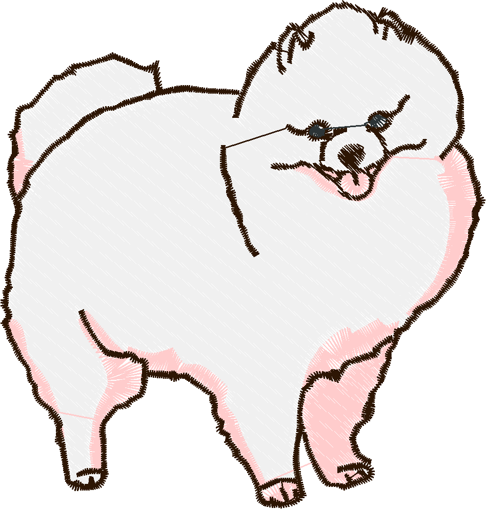 Pomeranians 1  (5)