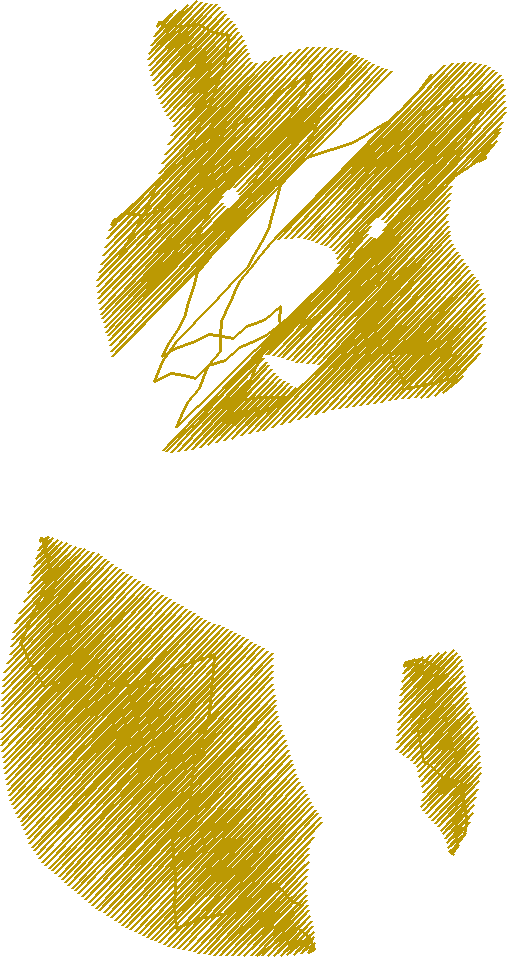Pooh2