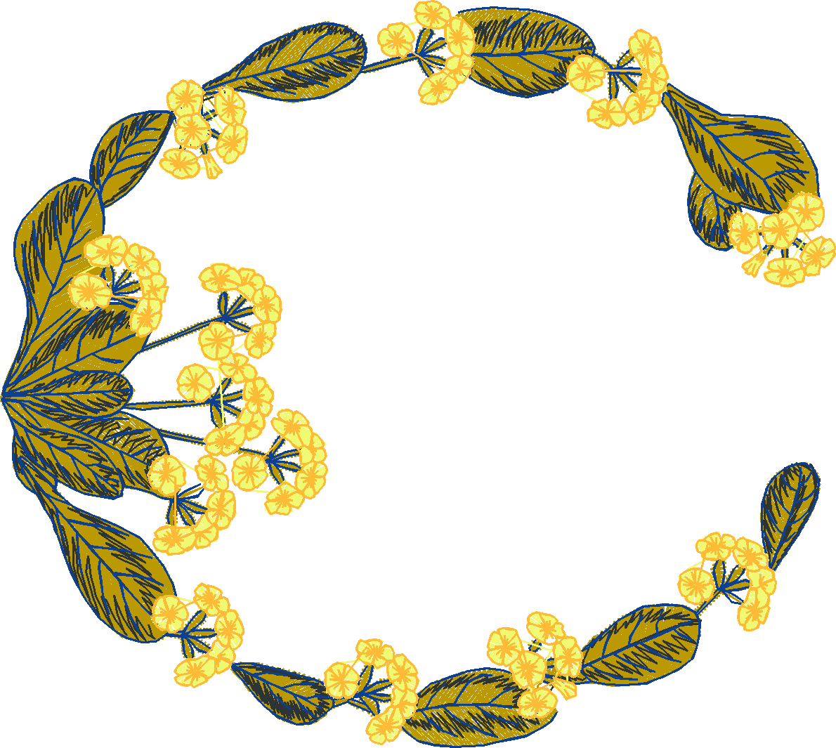 Primroses 1  (3)