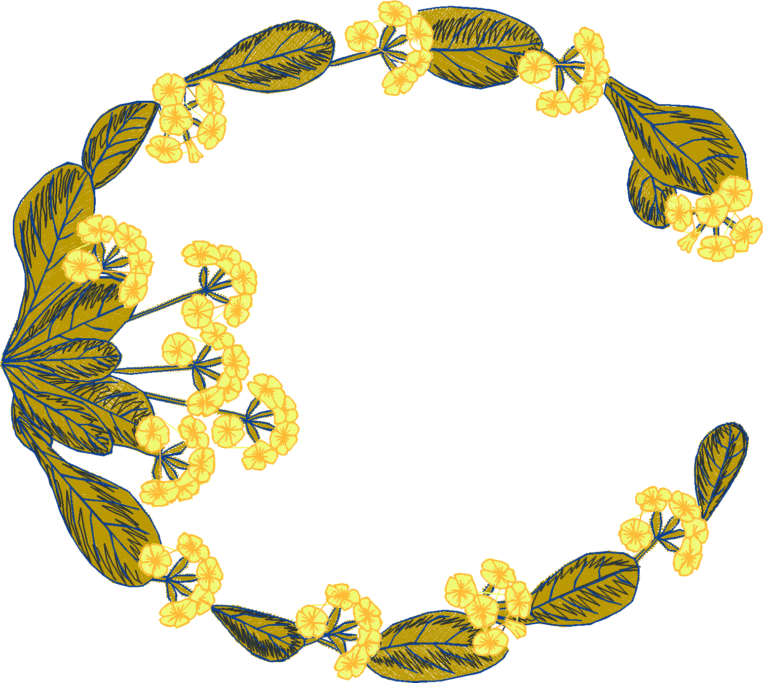 Primroses 1  (8)