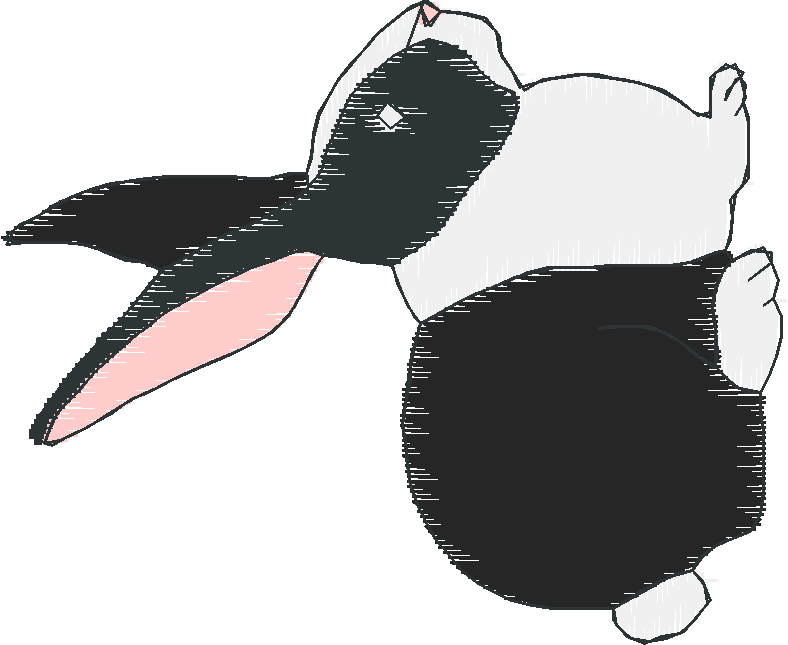 Rabbits 4  (39)